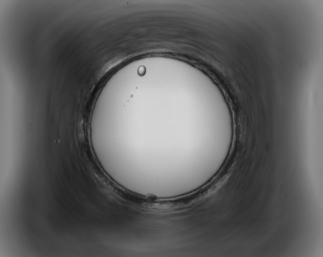 X0000086251497200704191831