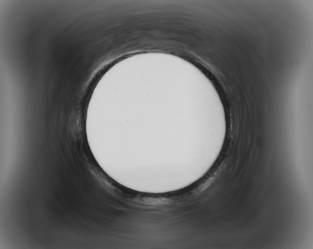 X0000086251498200704191831