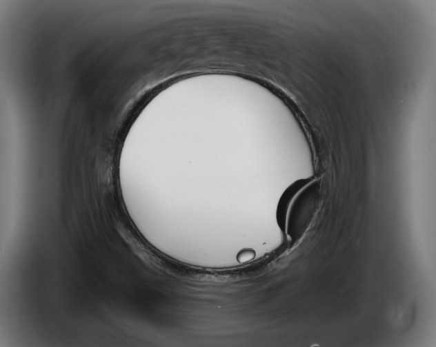 X0000086251499200704191831