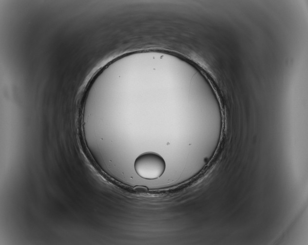 X0000086251500200704191831