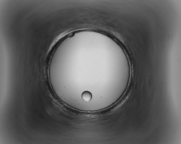 X0000086251501200704191831