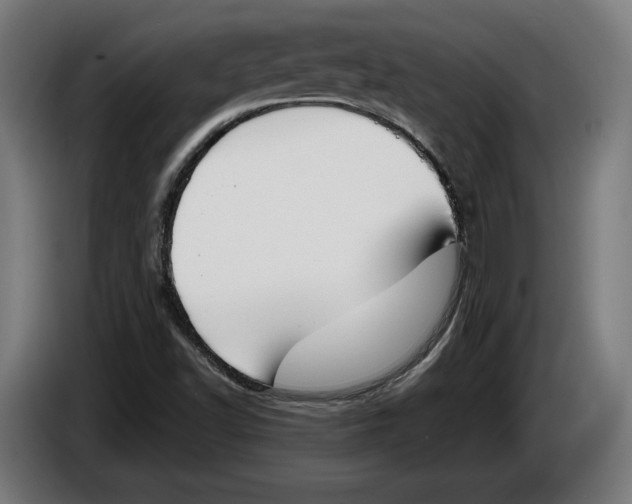 X0000086251502200704191831