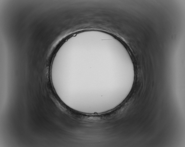X0000086251503200704191831