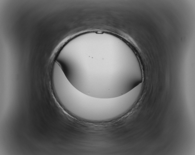 X0000086251504200704191831