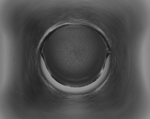 X0000086251506200704191831