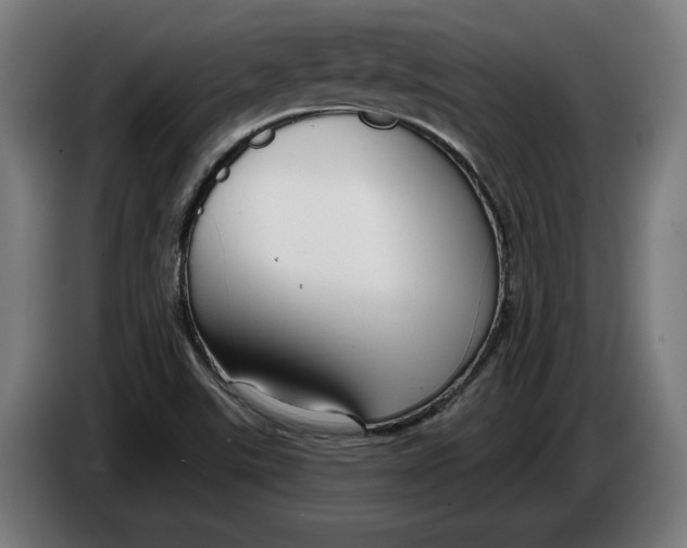 X0000086251507200704191831