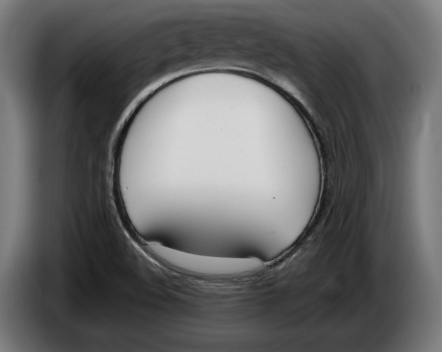 X0000086251508200704191831