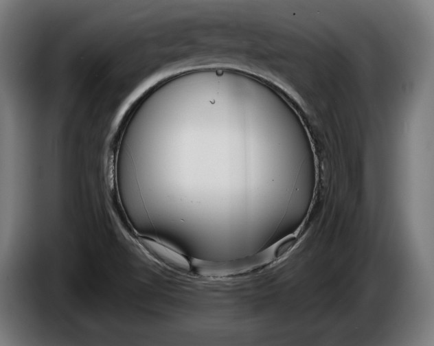 X0000086251510200704191831