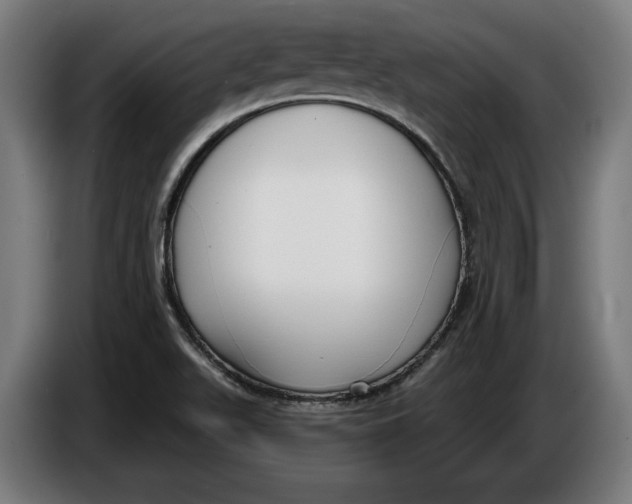 X0000086251511200704191831