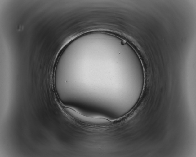 X0000086251513200704191831
