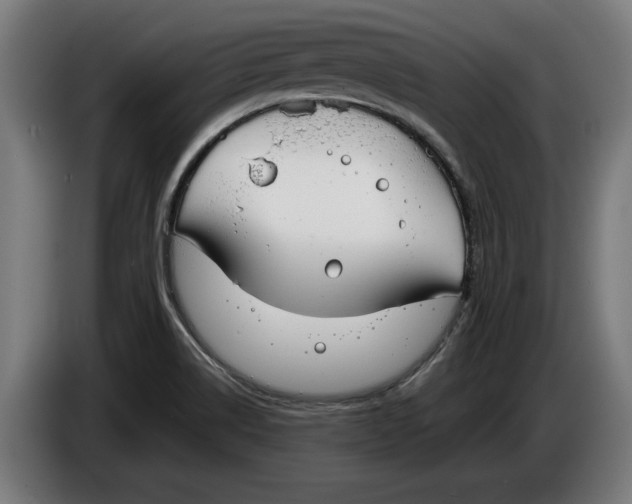 X0000086251514200704191831