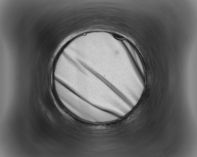 X0000086251515200704191831