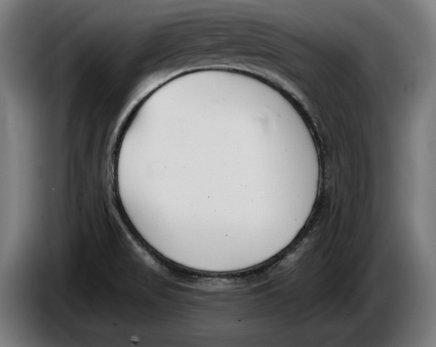 X0000086251517200704191832