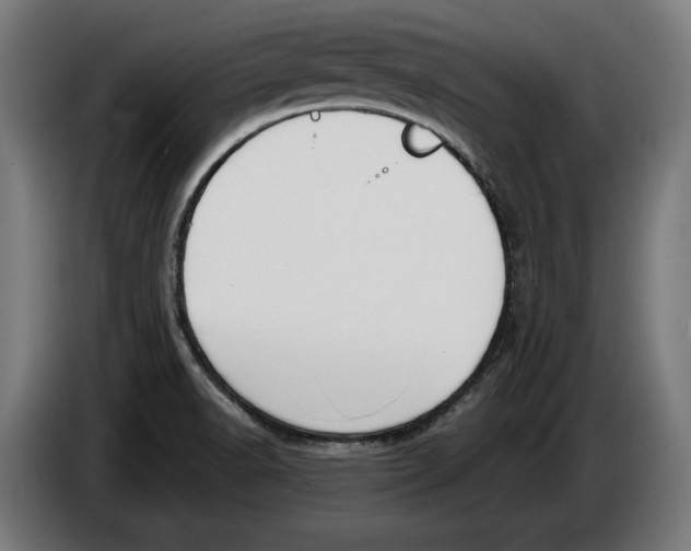 X0000086251518200704191832