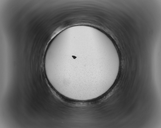 X0000086251521200704191832