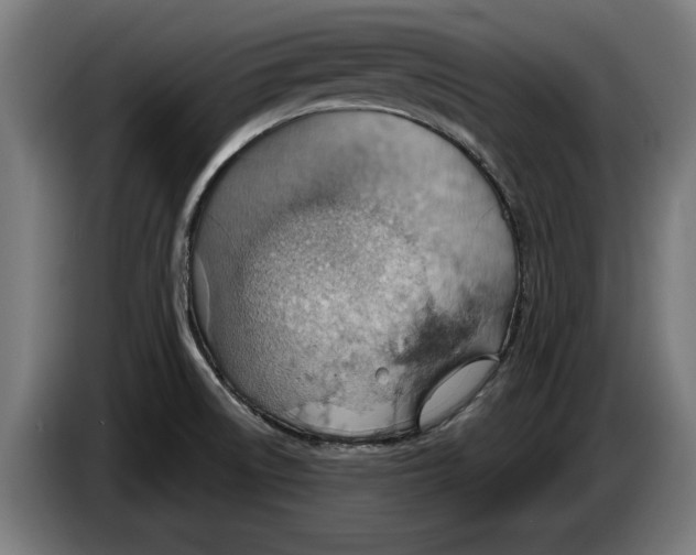 X0000086251522200704191832