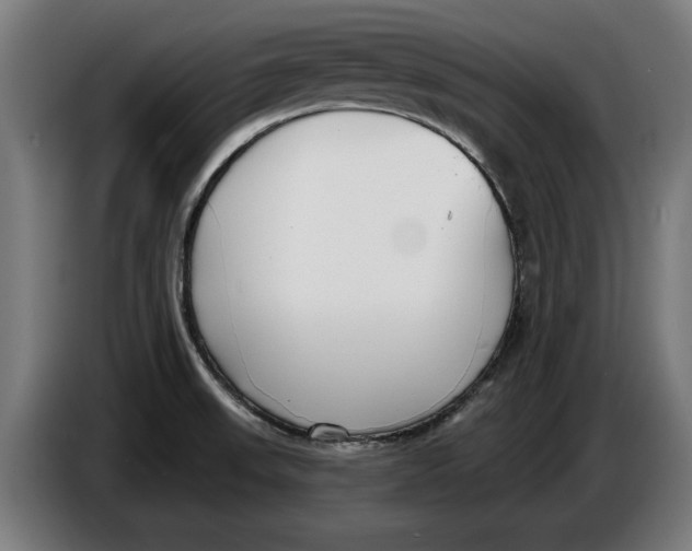 X0000086251523200704191832