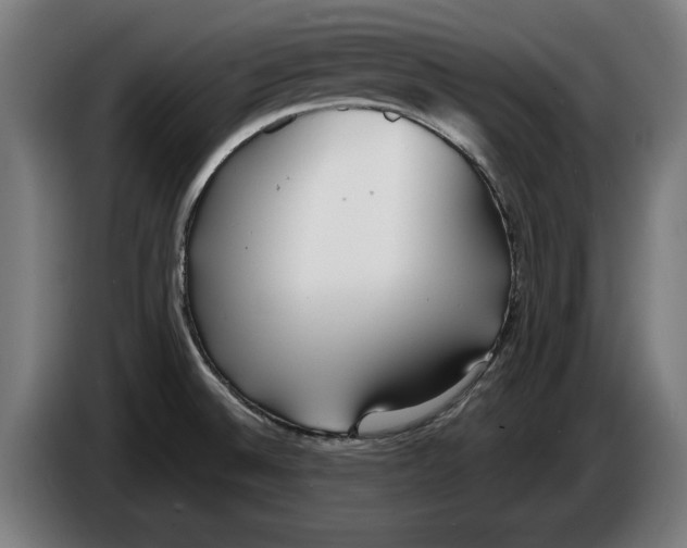 X0000086251524200704191832