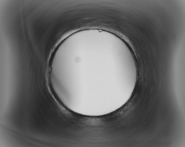 X0000086251525200704191832