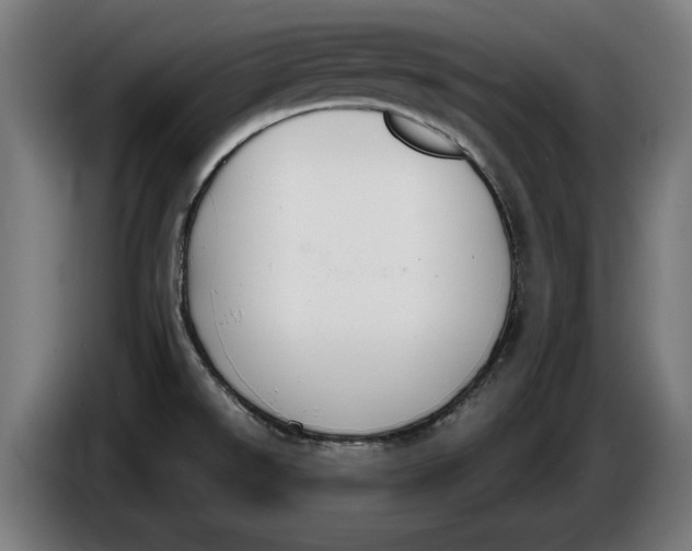 X0000086251526200704191832