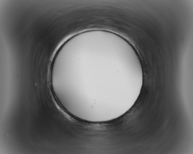 X0000086251527200704191832