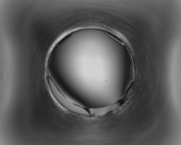 X0000086251528200704191832