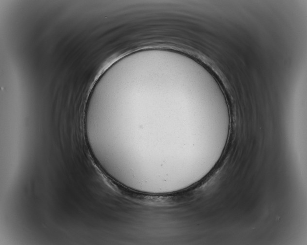 X0000086251529200704191832