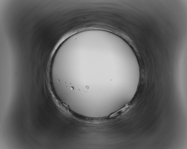 X0000086251530200704191832