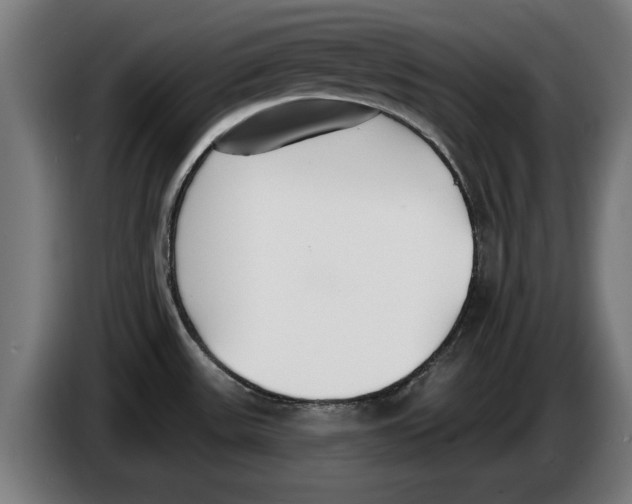 X0000086251531200704191832