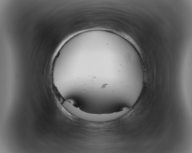 X0000086251532200704191832