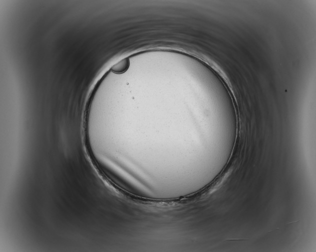 X0000086251533200704191832
