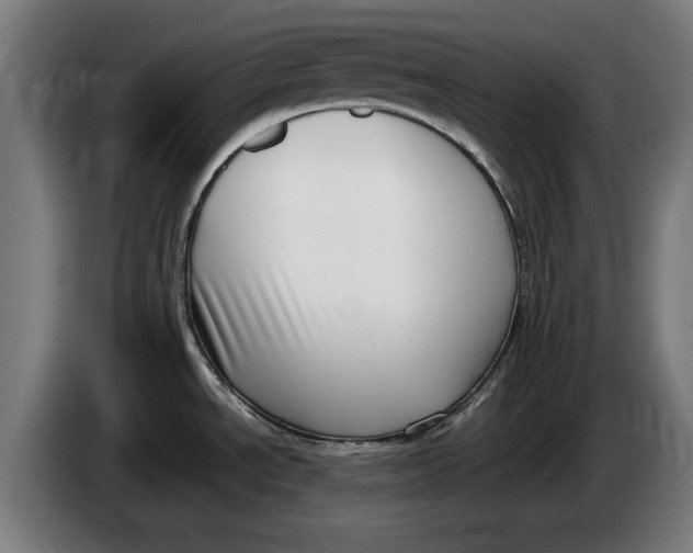 X0000086251534200704191832