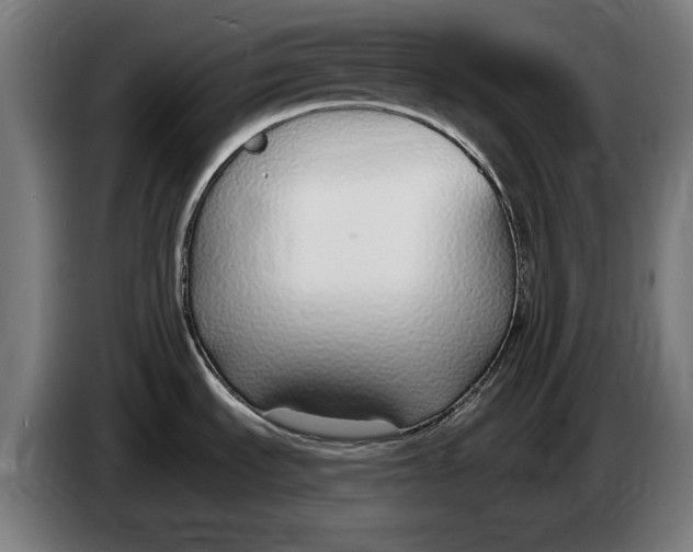 X0000086251535200704191832