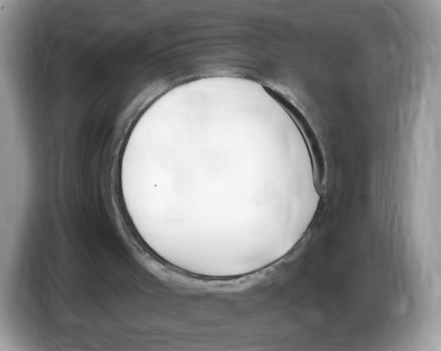 X0000086250001200704261945