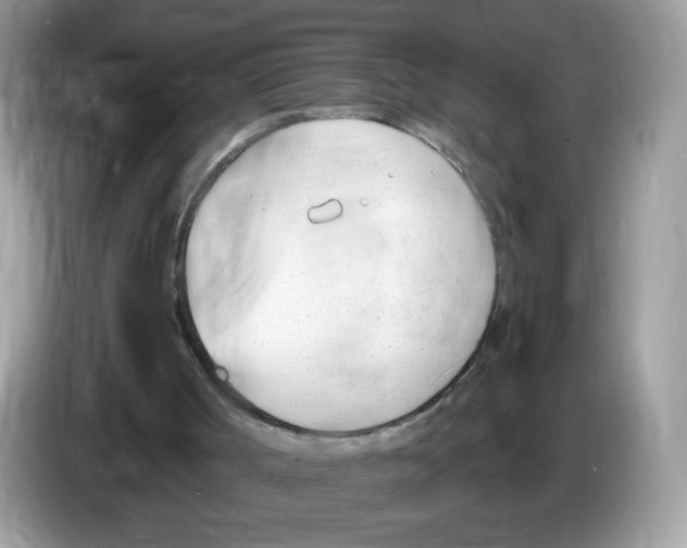 X0000086250002200704261945