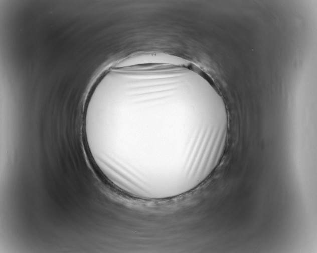 X0000086250003200704261945