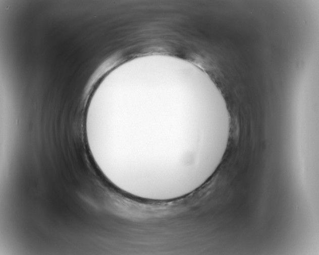 X0000086250004200704261945