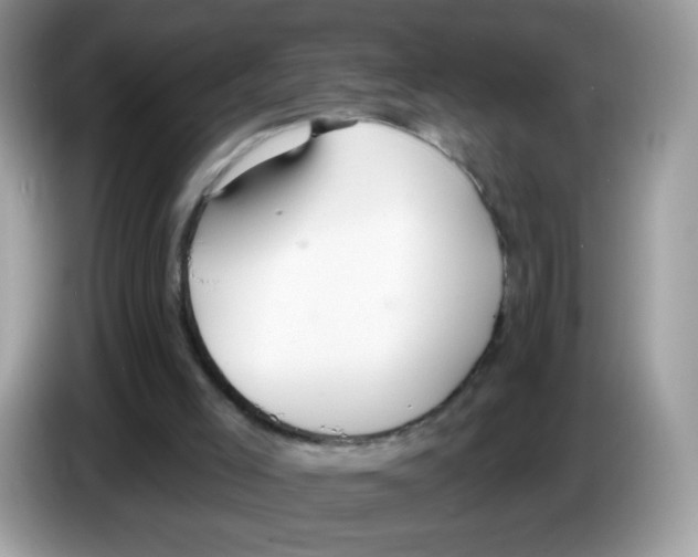 X0000086250005200704261945