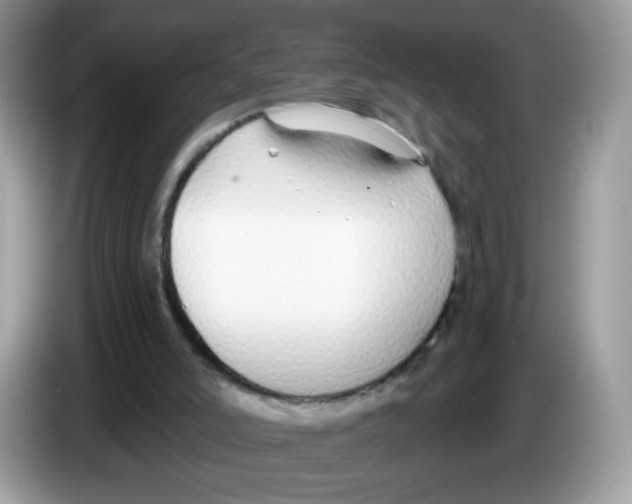 X0000086250006200704261945