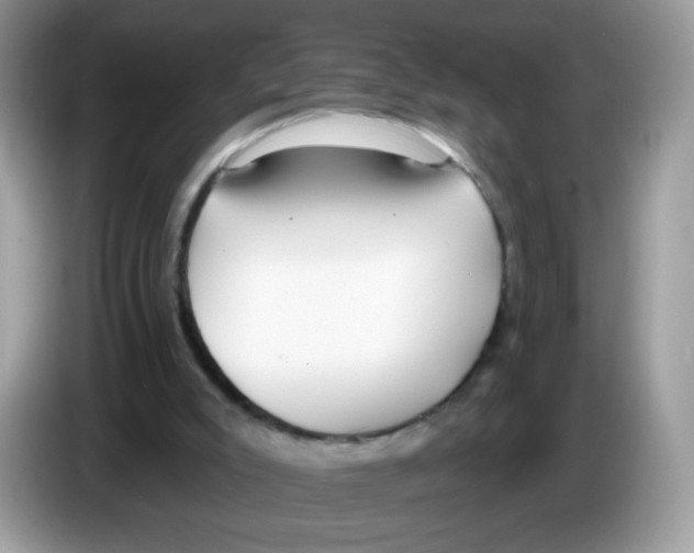 X0000086250007200704261945