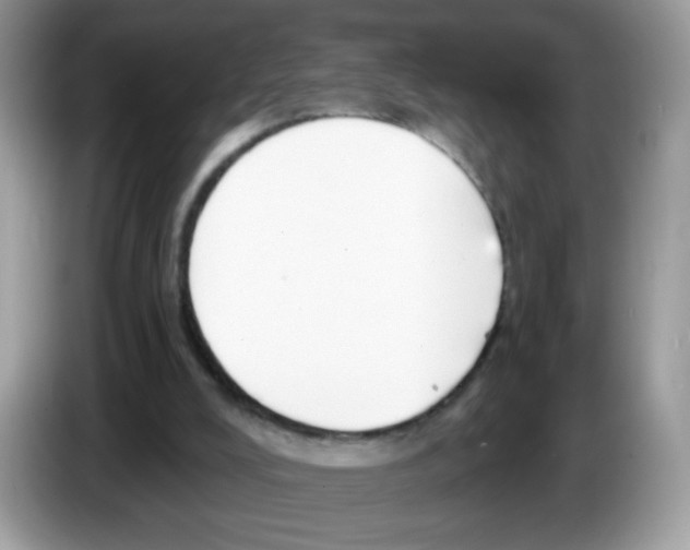 X0000086250008200704261945