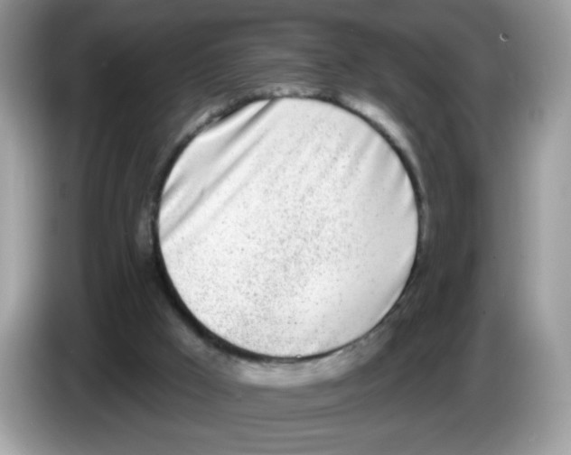 X0000086250009200704261945