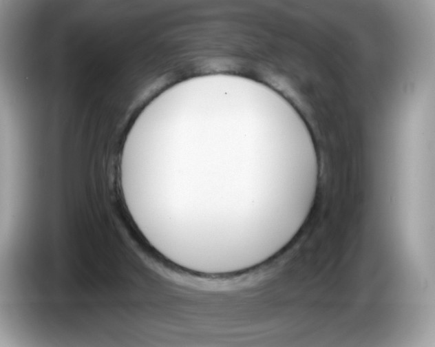 X0000086250010200704261945