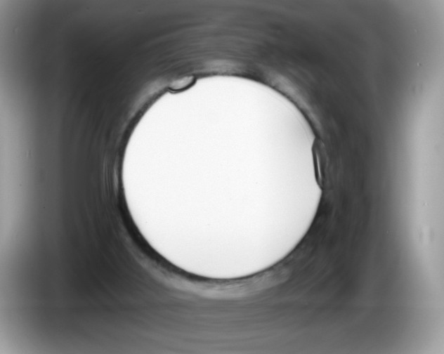 X0000086250011200704261945