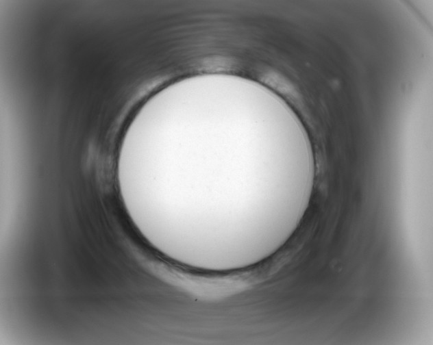 X0000086250012200704261945