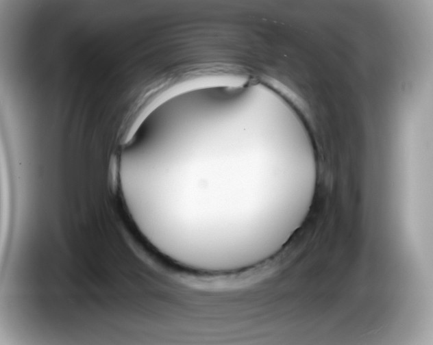 X0000086250013200704261945