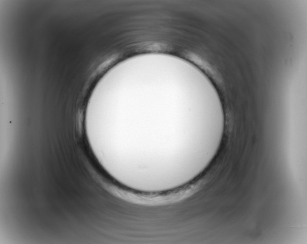 X0000086250014200704261945