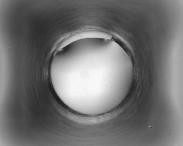 X0000086250015200704261945