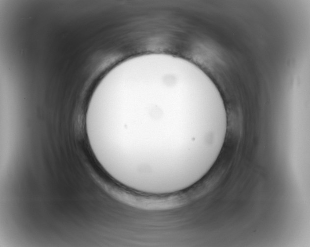 X0000086250016200704261945