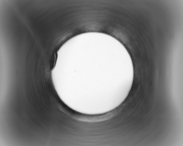 X0000086250017200704261945